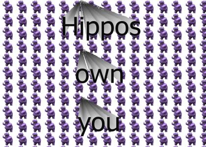 Hippo bizzatch