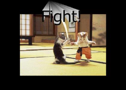 Mortal Kitty Combat
