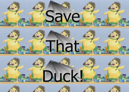 Save That Duck!