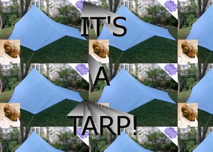 PTKFGS: IT'S A TARP!