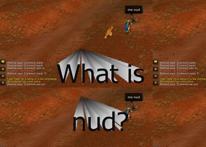 What is nud?