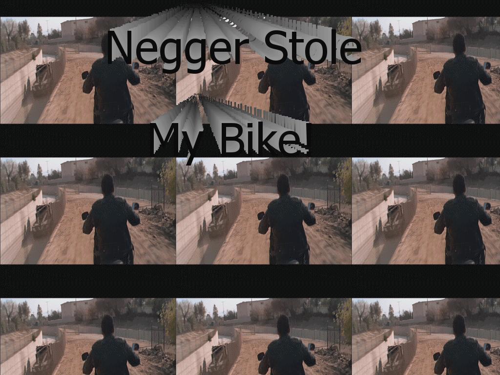 NeggerStole
