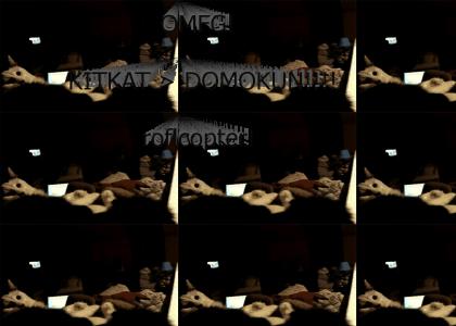 KITKAT > DOMOKUN!!! (refresh it) ver 1.2