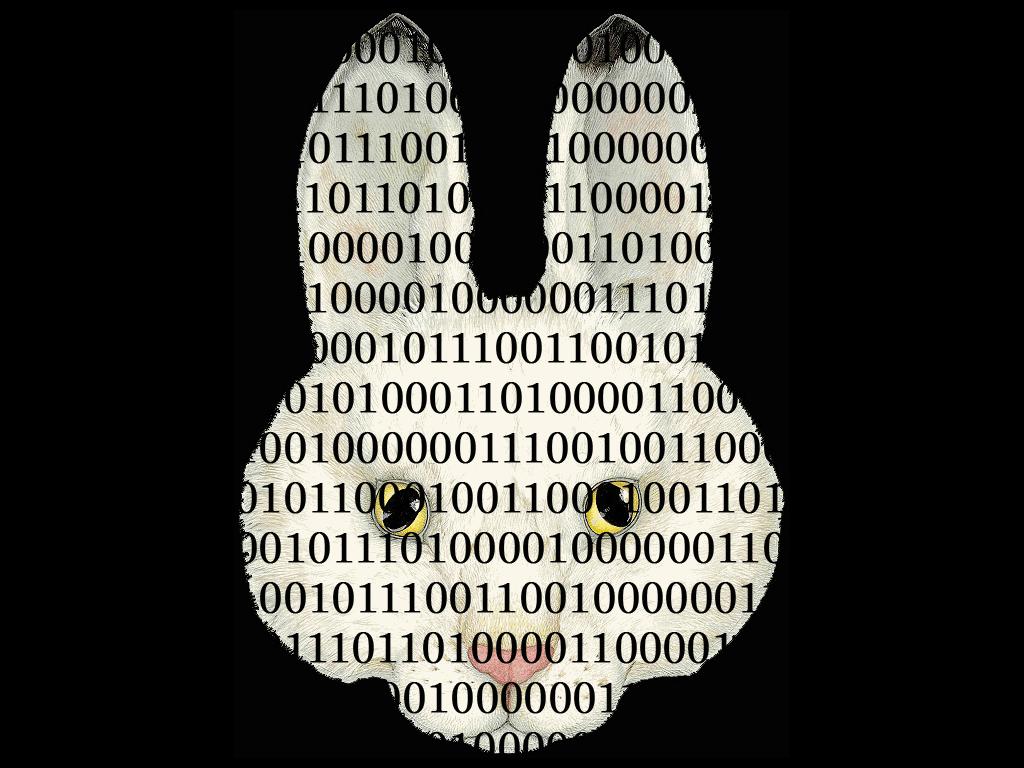 binaryrabbit