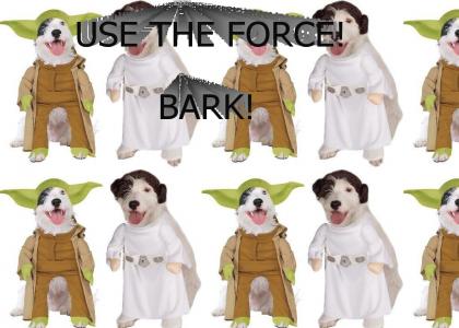 Dogs Using the Force...