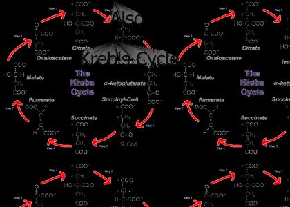 I'm Ridin' Kreb Cycle (Better Picture)