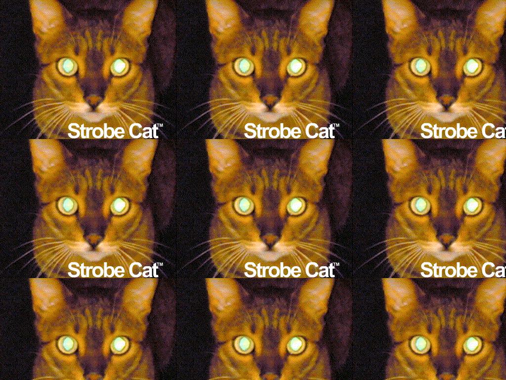 strobecat