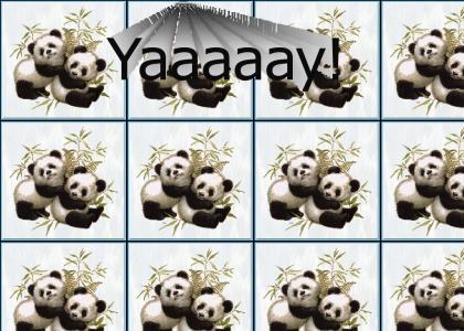 THE PANDAS MUST DIE