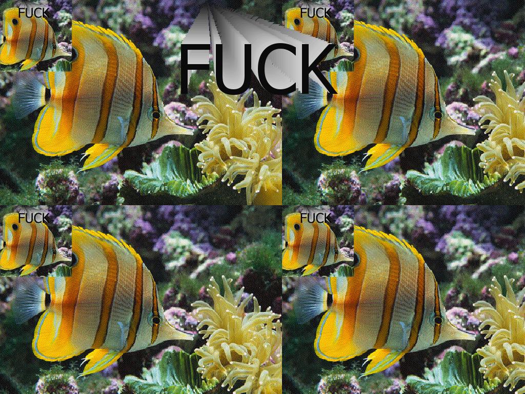 fuckfish6