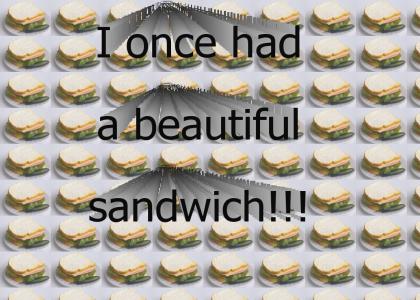 Beautiful Sandwich