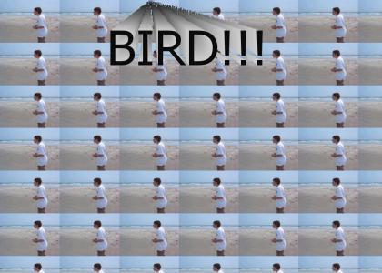 BIRD!!!