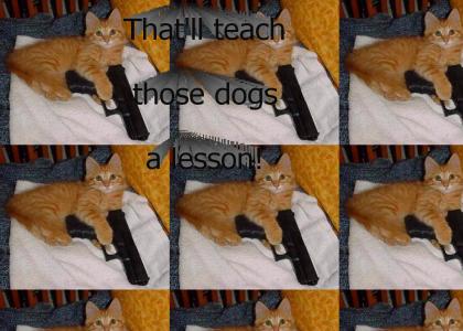Cats With Guns