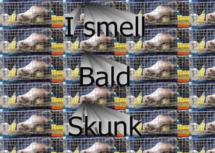 I smell bald skunk