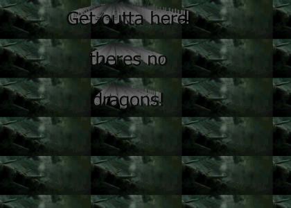 WTF Theres no dragons