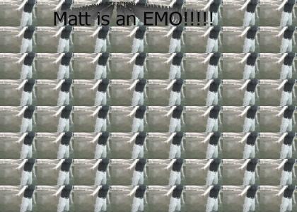 Matt is an idiot emo!!!!!