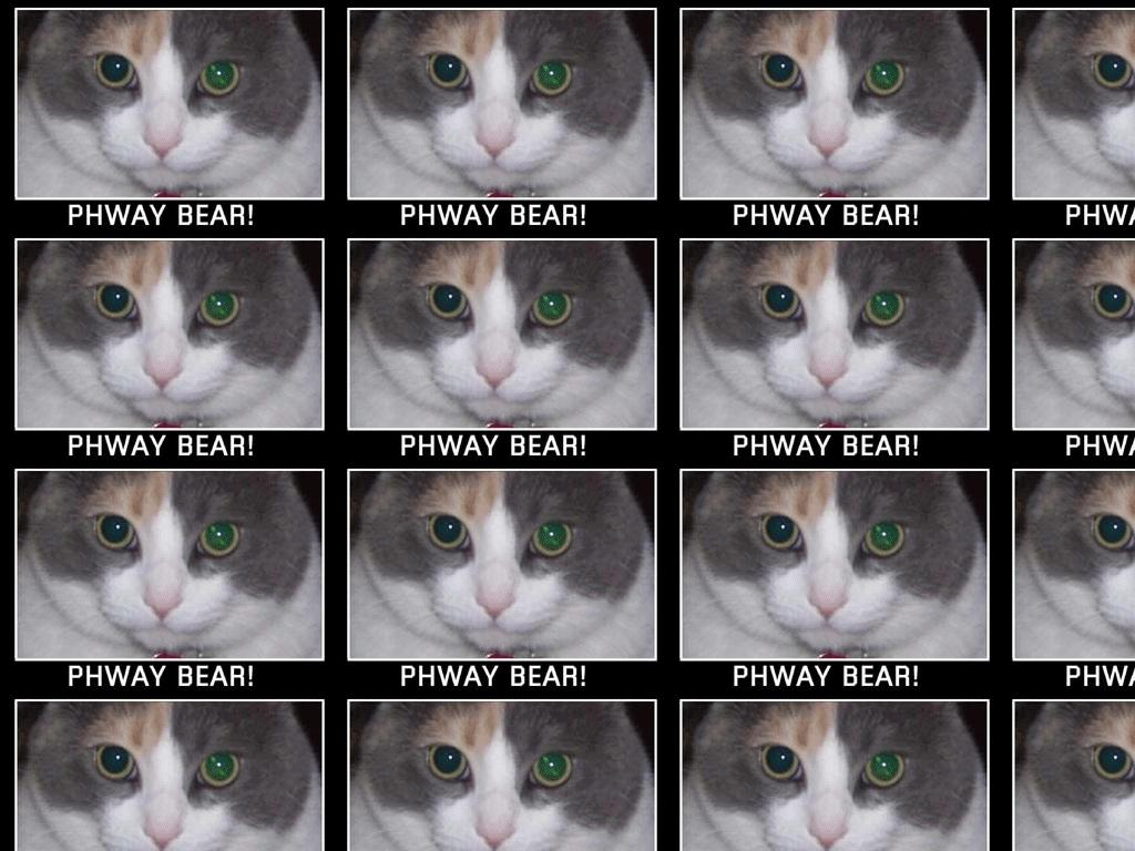 phwaybear