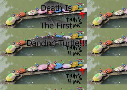 Death is the first dancing turtle