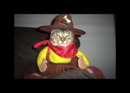 Walker- Kitty Cat Ranger