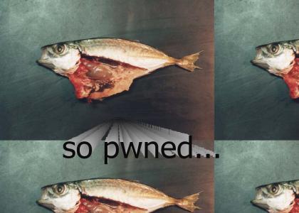 total fish pwnage...