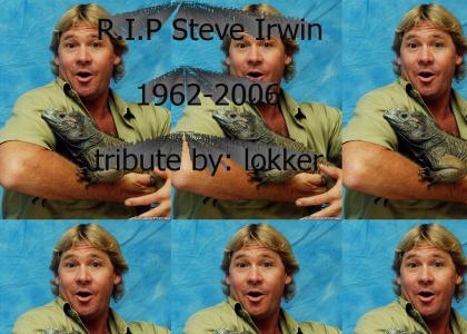 Steve Irwin: A great man