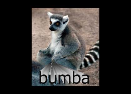 bumba