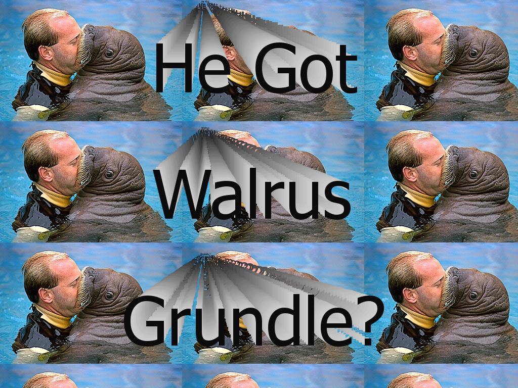 walrusgrundle