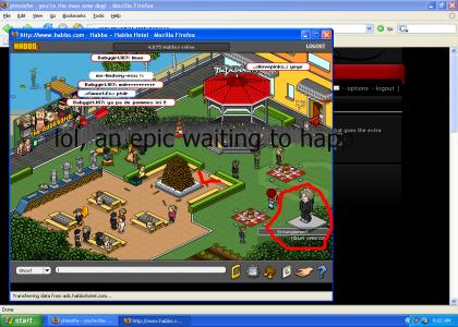 habbo ninjas!!