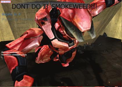 Poor Degenerate Smokeweed