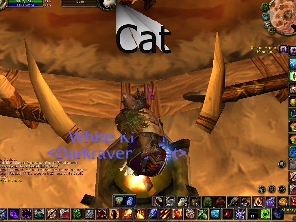 WarcraftNEDMcat