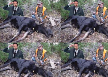Its cool for tom green to hump a dead moose