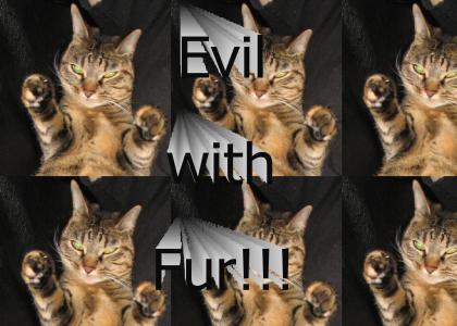 Evil With Fur