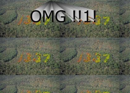 OMG!  Secret 1337 Forest !!!!