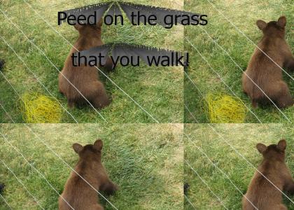 Peed on the Grass