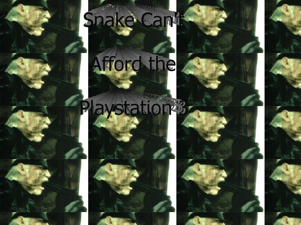 SnakeCantAffordPS3