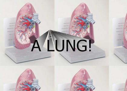LUNG!