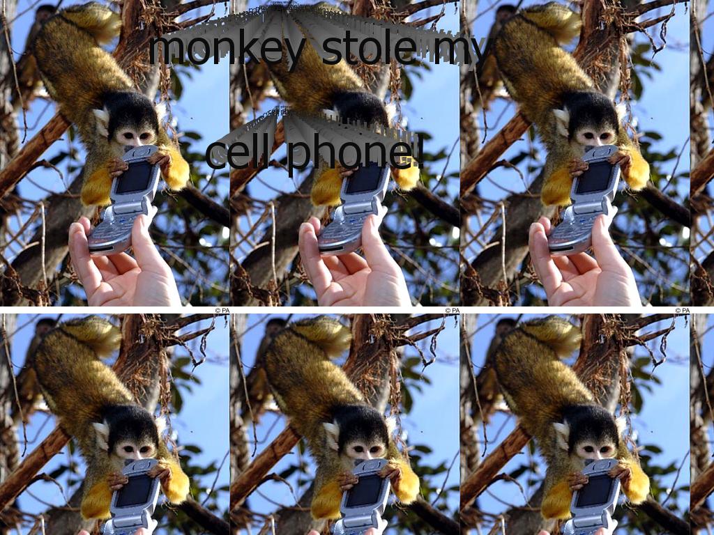 monkeycell