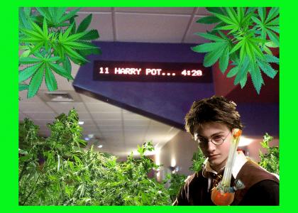 Harry potter 420