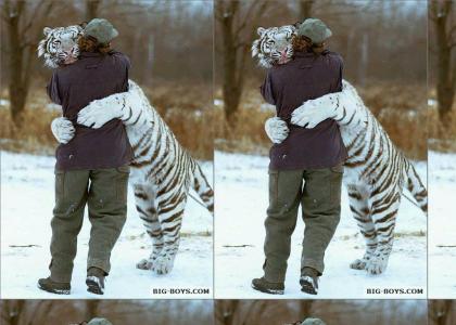 Tigers gotta love them