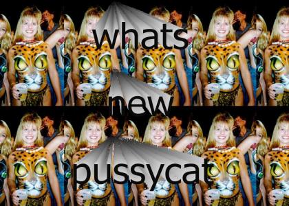 whats new pussycat