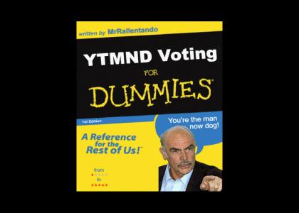YTMND Voting for Dummies