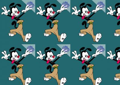 PTKFGS : Yakko Says...