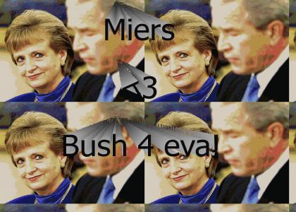 Miersgate: - Bush likes the way it looks