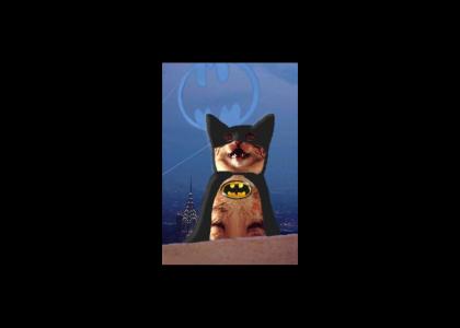 Batcat: Uealuealuealeal (sp)