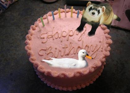 Happy Birthday Duckferret!