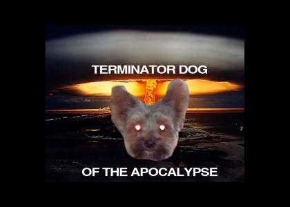 demon dog of the apocalypse