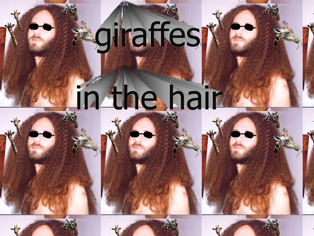 giraffesinthehair