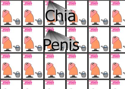 Chia Penis