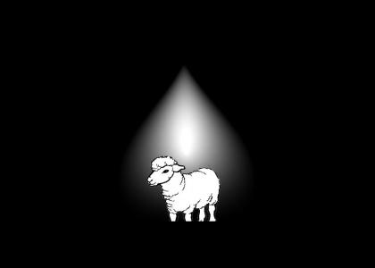 A Beam Of Light Comes Shining Down On Ewe