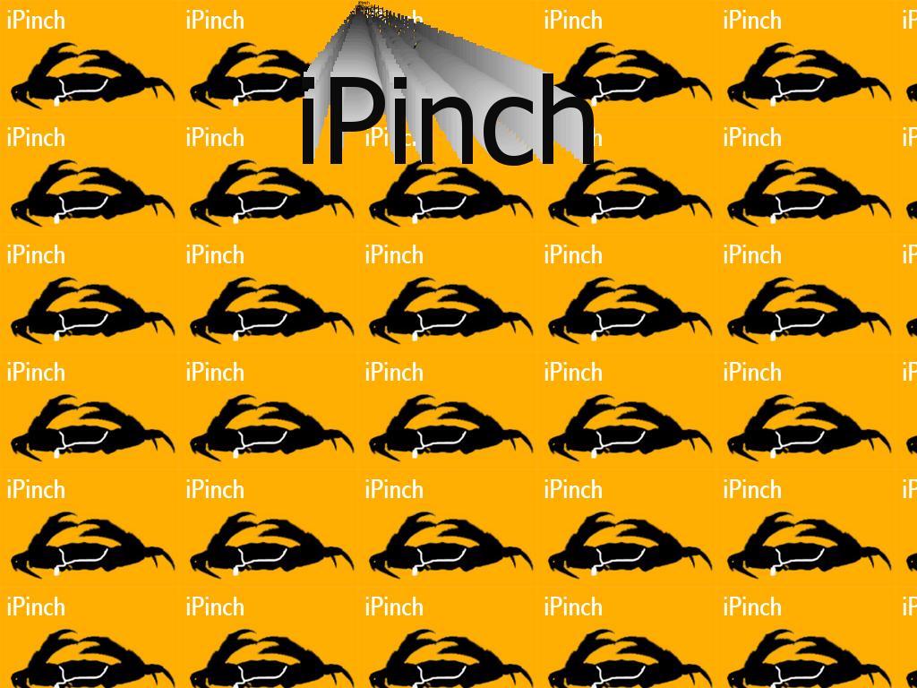 ipinchpod
