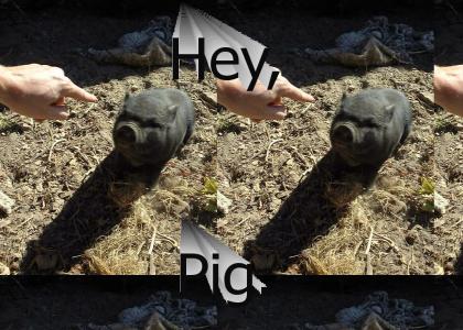 Hey, Pig.